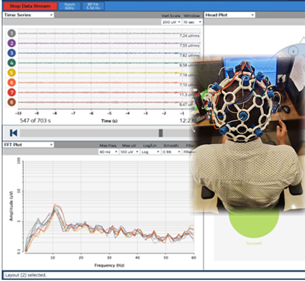 Defect Detection with Brain-Computer Interface (BCI)